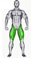 Power Up Your Leg Day #legworkout #biggerlegs  #legday #strengthtraining #shorts #shortsfeed #shortvideo