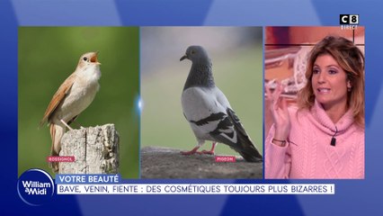 Votre beauté : Bave, venin, fiente, des cosmétiques toujours plus bizarres !