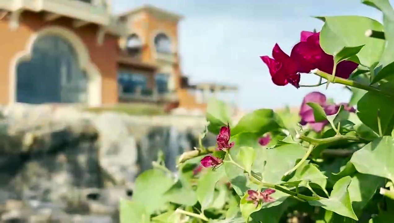 Mega Thalasso in Ägypten!