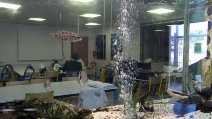 Marie Bravo-Monin directrice du Parc Marin de la Côte Bleue