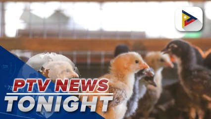 DA imposes ban on importation of imported poultry, poultry products from France, Belgium