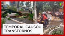 Chuva deixa Rua 25 de Março debaixo d'água e derruba mais de 200 árvores em SP