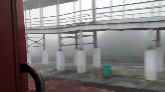 सुबह से छाया रहा घना कोहरा, लोगों को आने-जाने में हुई परेशानी