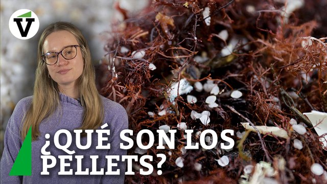 ¿Qué son los pellets de plástico y cómo afectan al medioambiente?