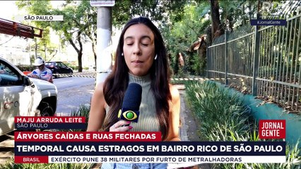 Homem morre ao ser atingido por árvore durante temporal em SP