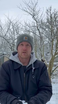 Sinon plus serieusement, pensez à secouer vos arbres les plus fragiles pour limiter les risques de casse ou tout simplement pour éviter’l’affaissement des branches ️