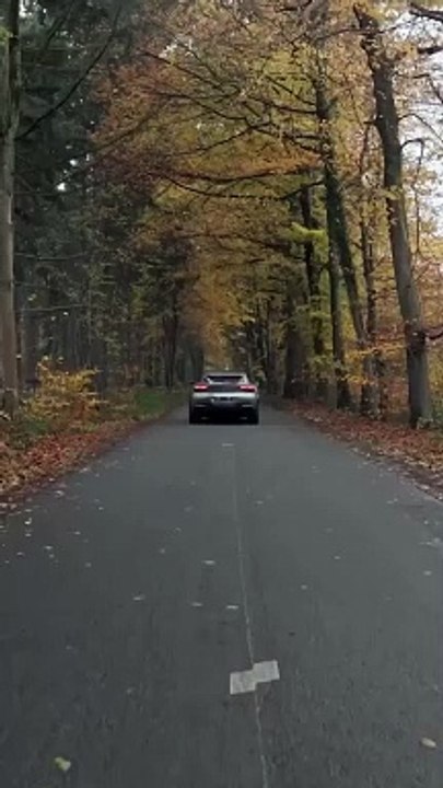 ferrari 4