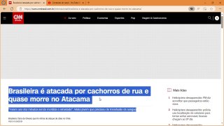 Brasileira é atacada por cachorros de rua e quase morre no Atacama