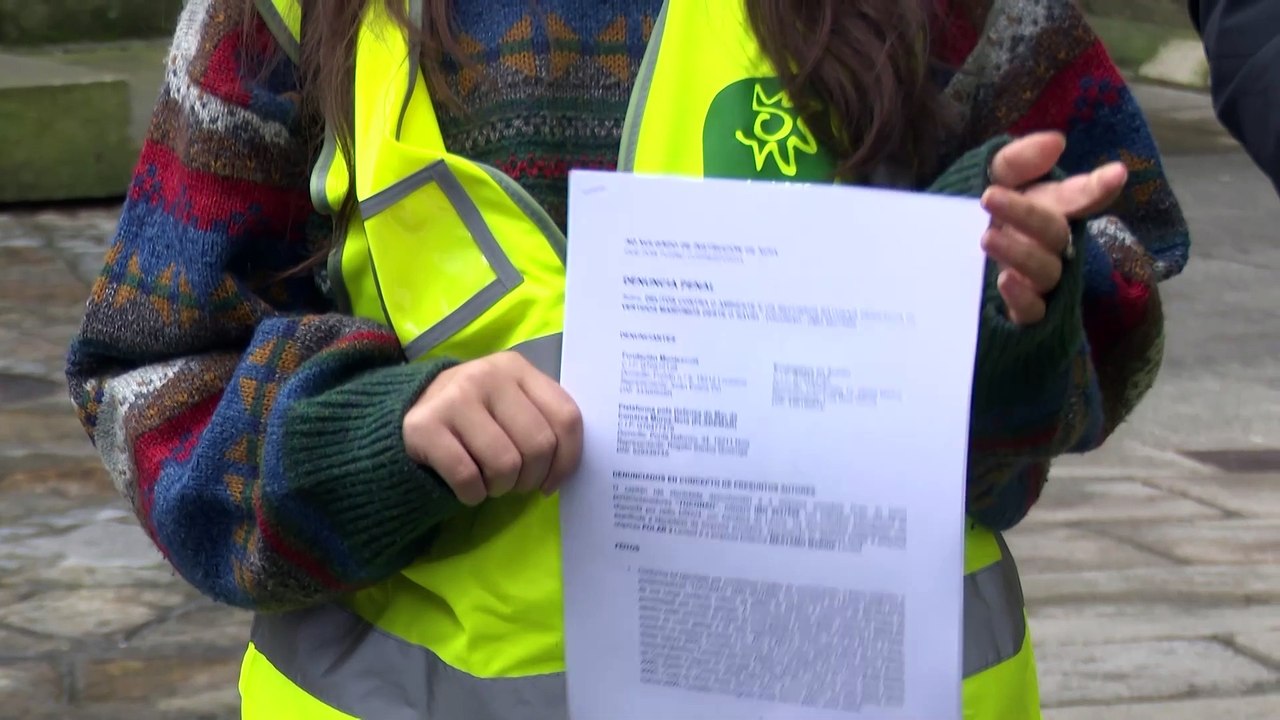 Ecologistas en Acción presentan una demanda contra el buque que provocó el vertido de pellets