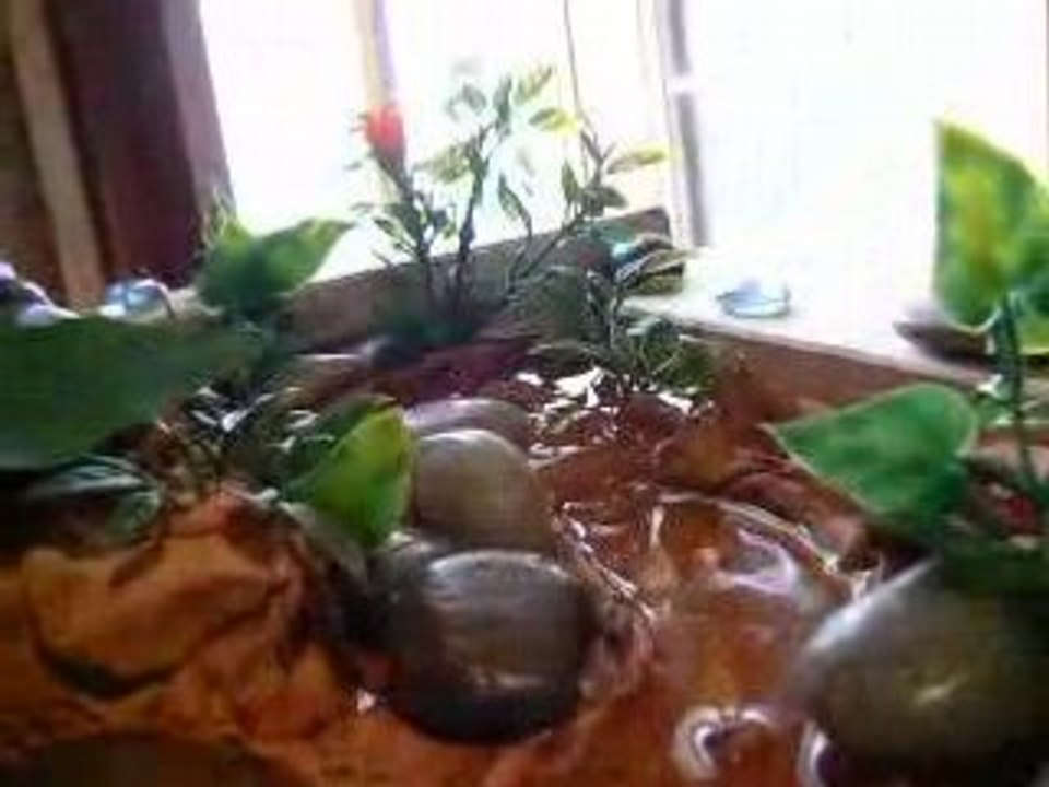Fontaine zen  jour