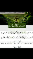 فرمان رسول صلی اللہ علیہ وسلم