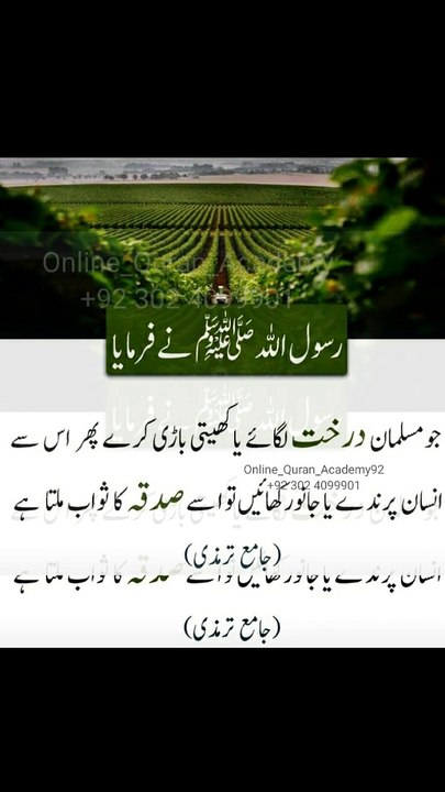 فرمان رسول صلی اللہ علیہ وسلم