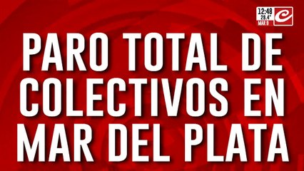 Paro de colectivos en Mar del Plata