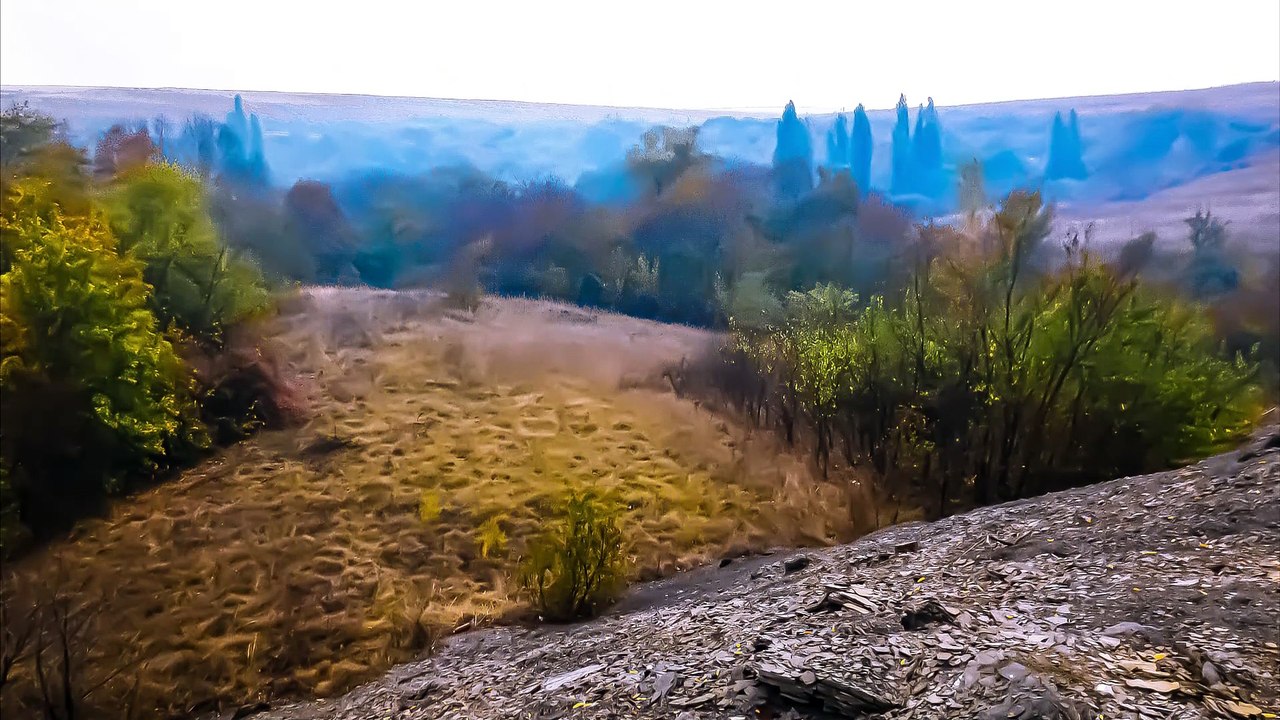 фотографии 2023