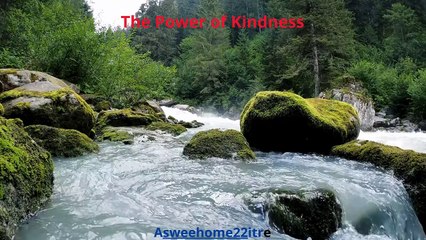 The Power of Kindness