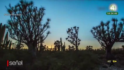 Declaran Área Natural Protegida a la Sierra de Vallejo: Susana Carreño