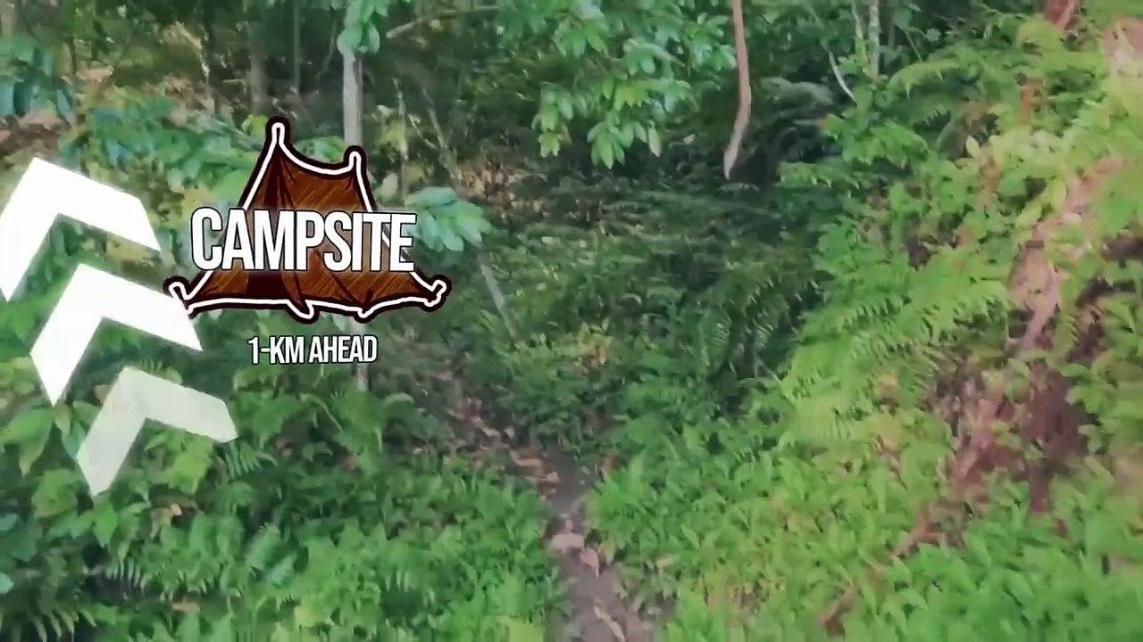 SURVIVING SOLO OVERNIGHT RAIN CAMPING | RELAXING IN THE TENT TO THE SATISFYING SOUND OF NATURE ASMR