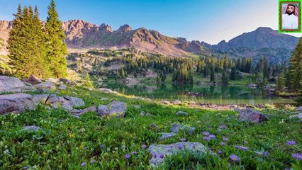 القرأن الكريم بصوت جميل يبكي القلوب