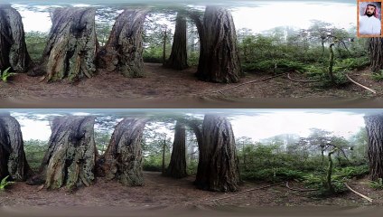 قرآن بصوت جميل