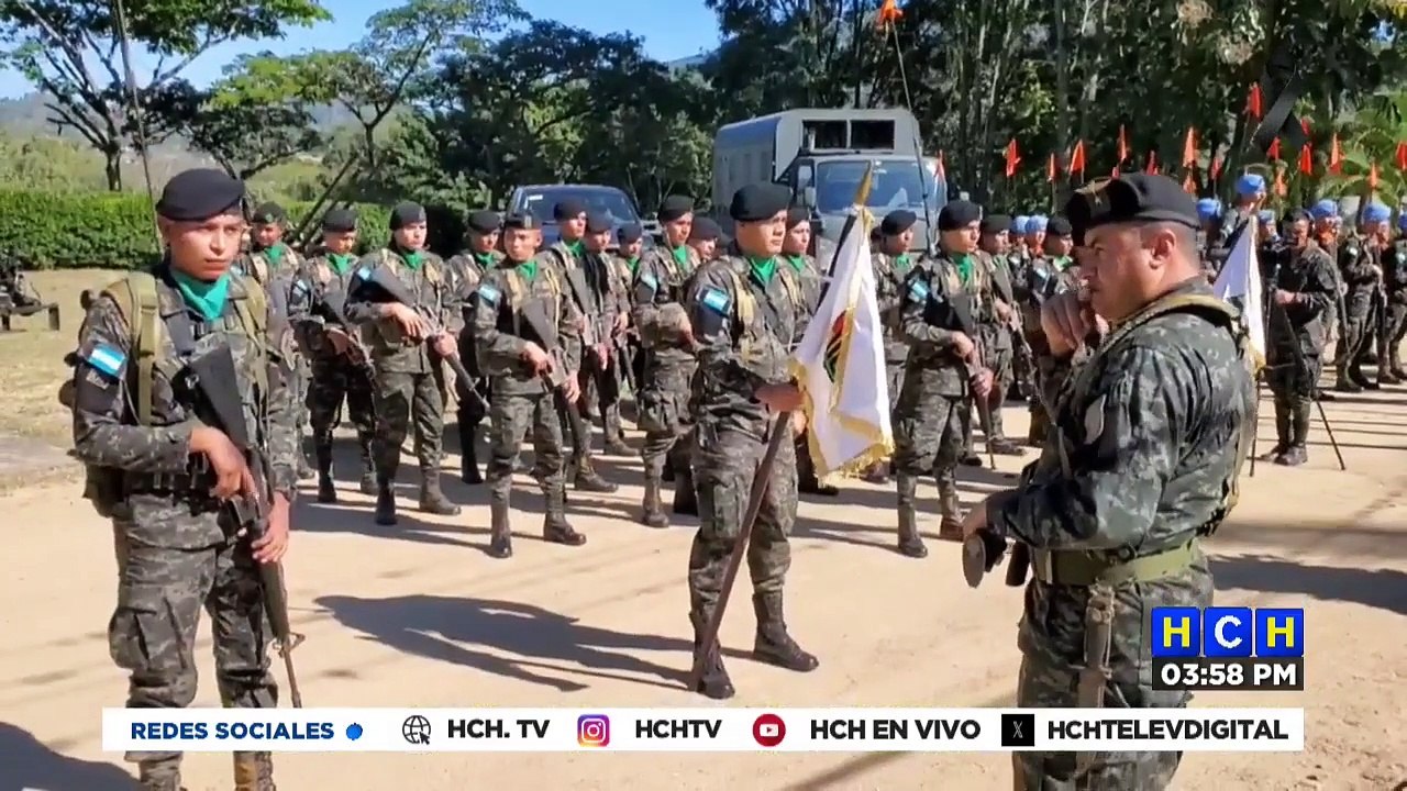Transmisión en Vivo (3156)