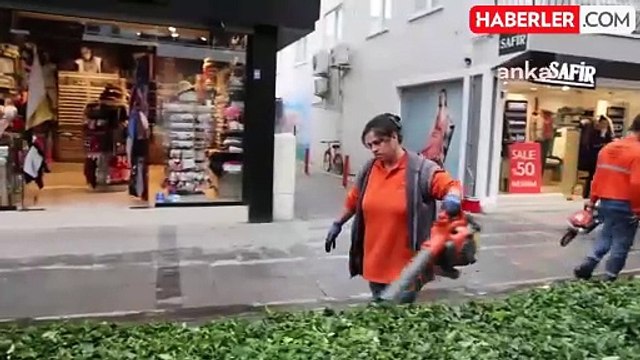 Marmaris Belediyesi Park ve Bahçeler Ekipleri Budama Çalışmalarına Devam Ediyor