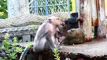Old Mother Barry Warns Tiny Baby Who Jumps To Hold Hurt (720p_25fps_H264-192kbit_AAC)