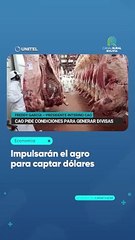 Impulsarán el agro para captar dólares