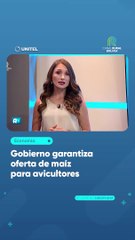 Gobierno garantiza oferta de maíz para avicultores