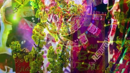 Cánh Thiệp Đầu Xuân - Thái Hằng (Top 4 Solo Cùng Bolero 2019)