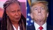 Whoopi Goldberg slams Trump for defending Capitol rioters: ‘They are not hostages’
