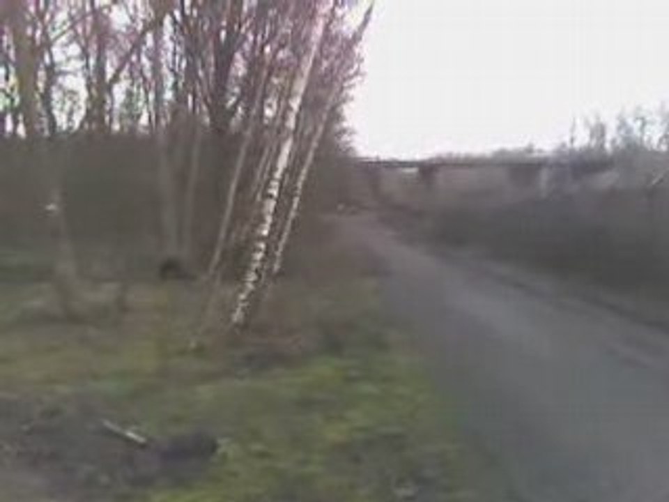 TERENCE 250YZ