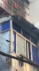 Protect them, the way he did. Respect you man