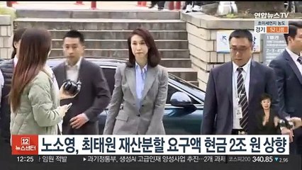 노소영, 최태원 재산분할 요구액 '현금 2조원'으로 상향