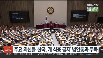 주요 외신들 '한국, 개 식용 금지' 법안통과 주목