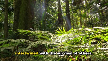 @ Wild Safari_ A Journey into the Wilderness