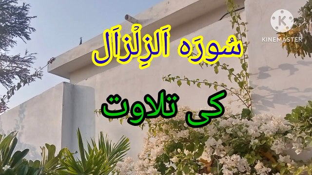 Surah Zilzalah| Tilawat | Beautiful voice | bubak learn quran