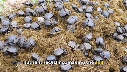 @ Wild Africa_ A Journey Through the Untamed Continent