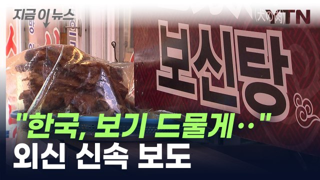 '개 식용 종식 특별법' 본회의 통과하자...외신의 보도 내용 [지금이뉴스] / YTN