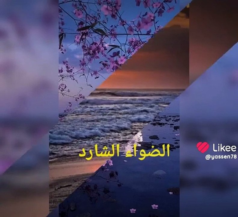 Like_7322290101154400568