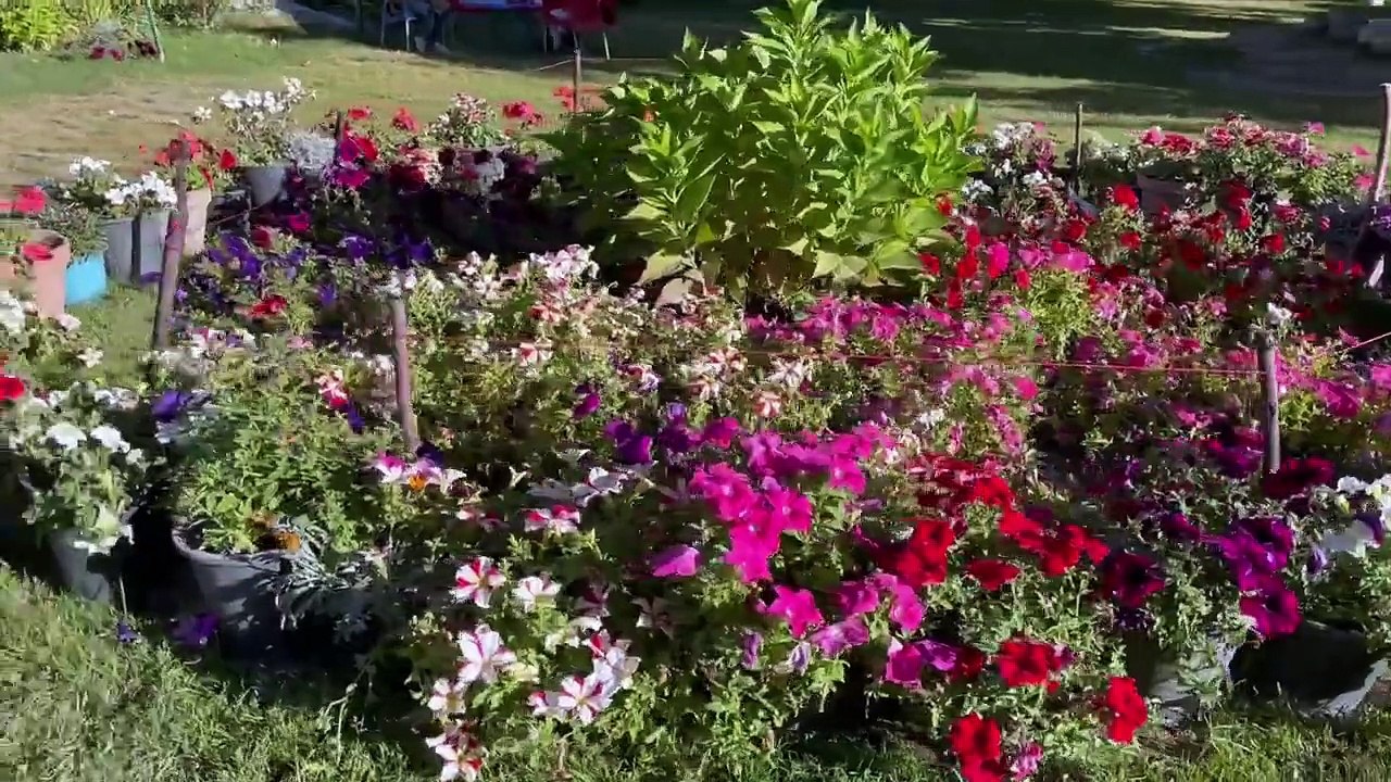 AN UNSEEN WILD BEAUTY _ BLIND LAKE SHIGAR _ SKARDU