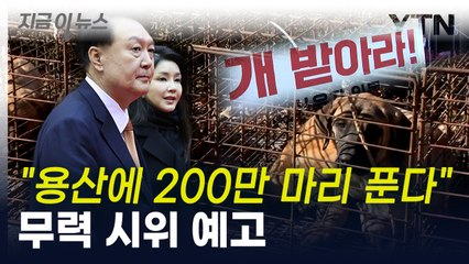 "개 공화국됐다...우리를 죽이겠다는 것" 육견협회, 시위 예고 [지금이뉴스] / YTN