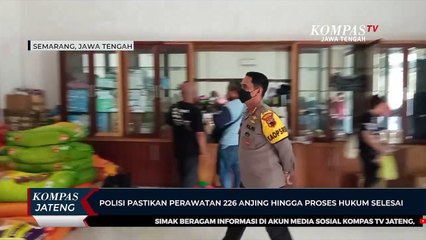 Polisi Pastikan Perawatan 226 Anjing Hingga Proses Hukum Selesai