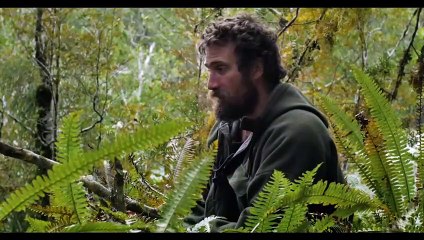 La Vérité sur la VIANDE - Documentaire