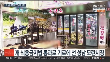 개 식용금지법 통과 다음날 성남 모란시장 표정…업소들 '한숨'