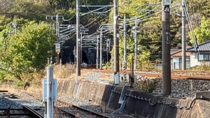 PXL_20231114_142156 9382レ・9382列車 9382re・9382 train