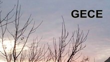 GECE