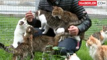 Antalya Büyükşehir Belediyesi Sokak Hayvanları Geçici Bakımevi'nde 321 Hayvan Sahiplendirildi