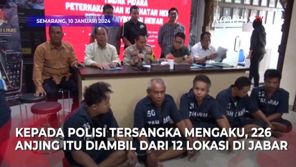 Tampang Penyelundup 226 Anjing yang Tertangkap di Semarang Mengaku Puluhan Tahun Beroperasi