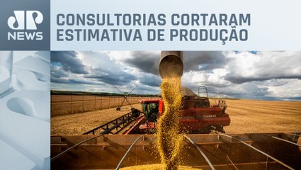 Kellen Severo: qual o tamanho da quebra da safra de soja no Brasil?
