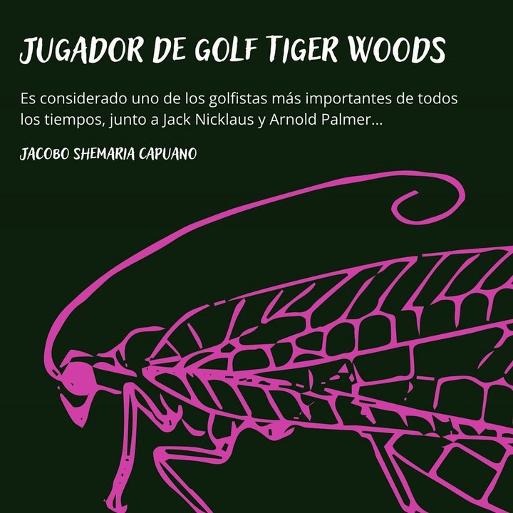 -Jacobo Shemaria Capuano- Jugador de golf Tiger Woods: (Parte 1) (Creado por @JacoboShemariaCapuano)